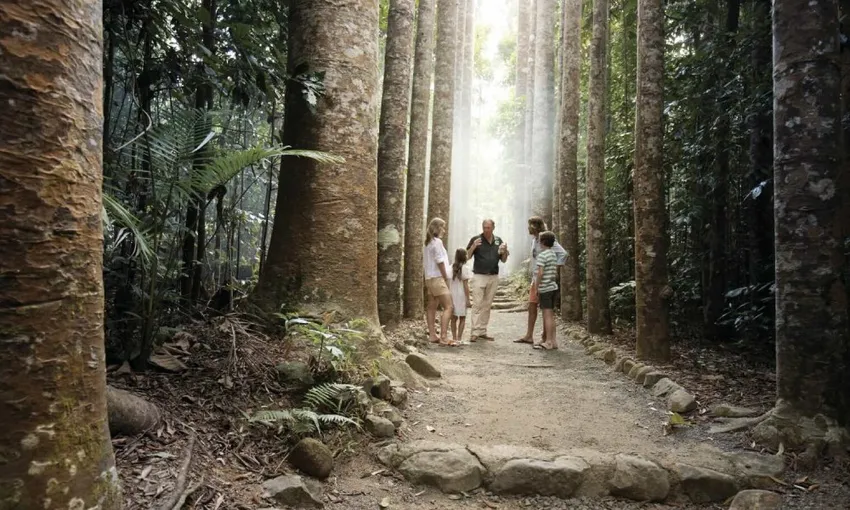 Paronella Park & Mamu Tropical Skywalk Admission - 2 Park Pass | Experience OZ