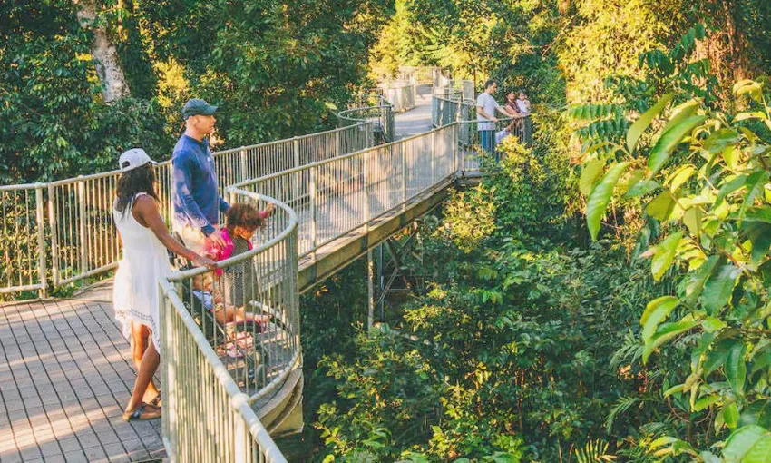 Paronella Park & Mamu Tropical Skywalk Admission - 2 Park Pass | Experience OZ