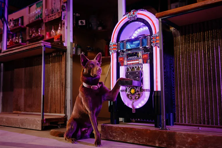 Australian Outback Spectacular Heartland Dinner and Show