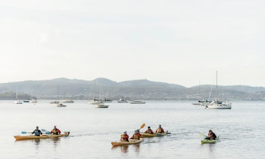 Hobart City Guided Kayaking, 2 Hours