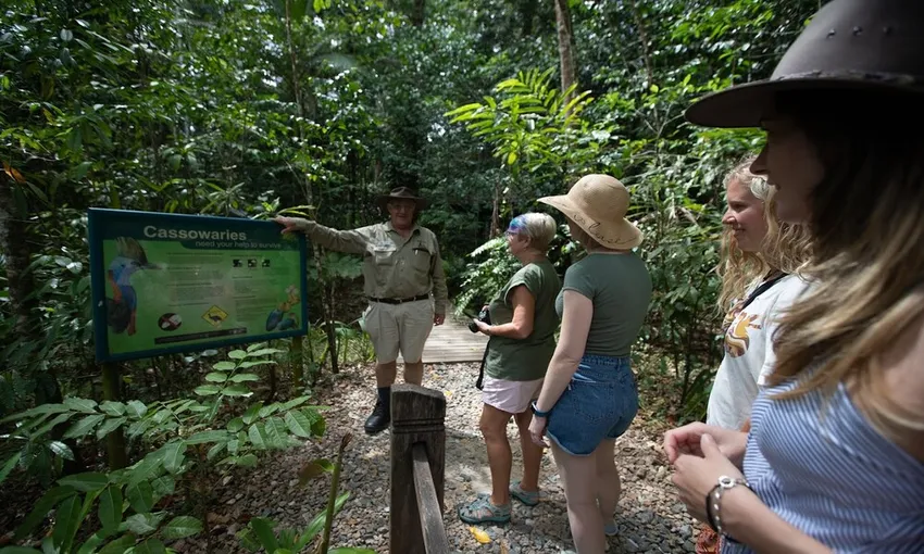 Daintree Rainforest and Cape Tribulation Tour - Full Day