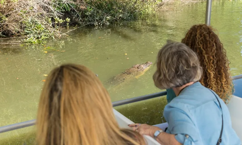 Daintree Rainforest and Cape Tribulation Tour - Full Day
