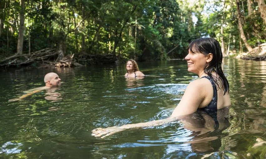 Daintree Rainforest and Cape Tribulation Tour - Full Day