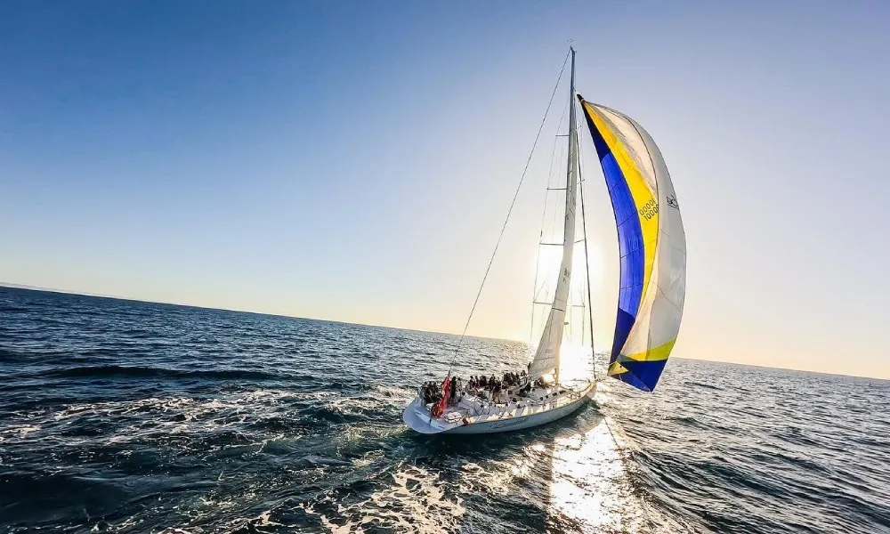 Brindabella Harbour & Habitat Cruise - 90 Minutes | Experience Oz-1