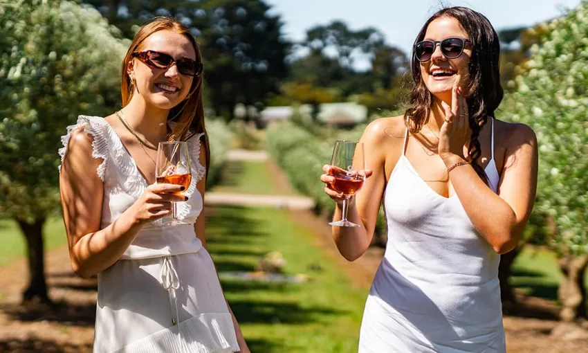 Mornington Peninsula Cable Car Ride and Picnic Lunch | Experience OZ