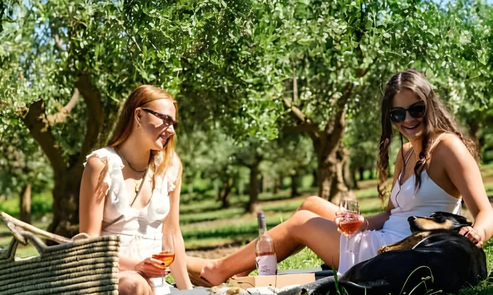 Mornington Peninsula Cable Car Ride and Picnic Lunch | Experience OZ-3