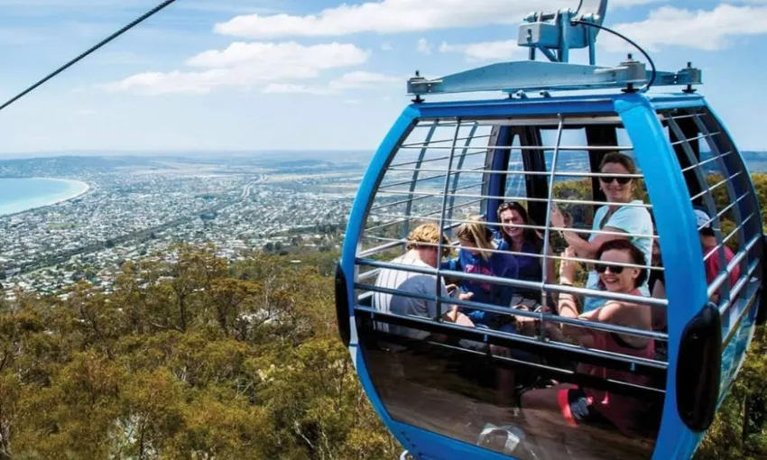 Mornington Peninsula Cable Car Ride and Picnic Lunch | Experience OZ