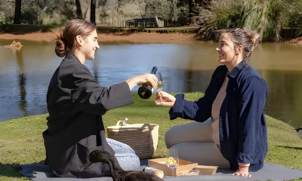 Mornington Peninsula Cable Car Ride and Picnic Lunch | Experience OZ-4