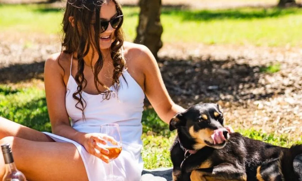 Mornington Peninsula Cable Car Ride and Picnic Lunch | Experience OZ-5