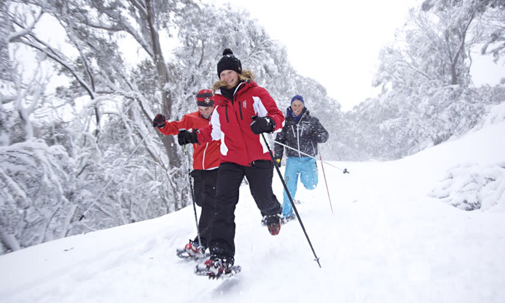 Mt Buller with Transfers from Melbourne, Full Day