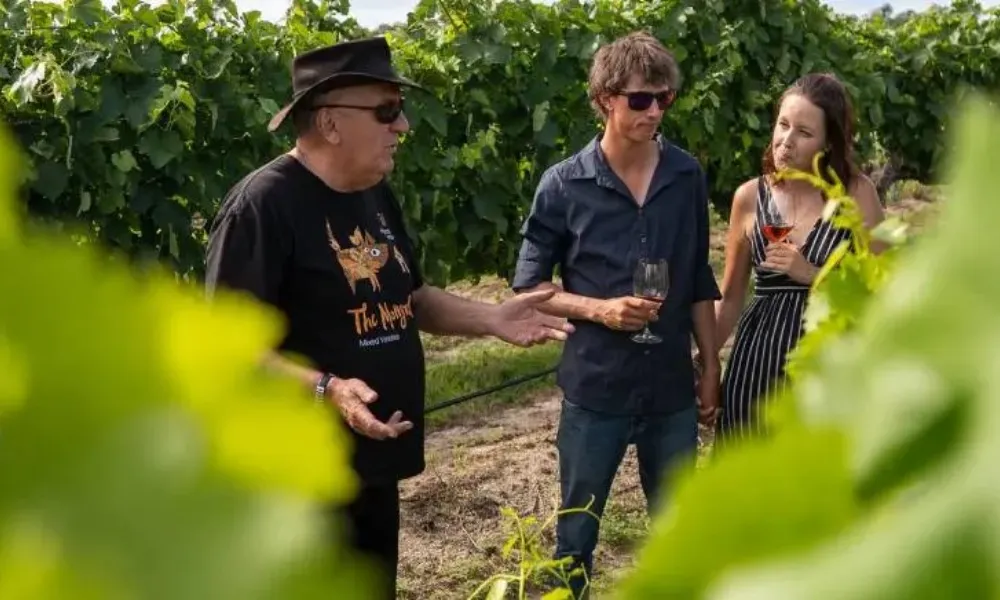 Ridgemill Estate Grape to Glass Masterclass - For 2 | Experience OZ-3