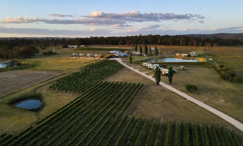 Ridgemill Estate Grape to Glass Masterclass - For 2 | Experience OZ-5