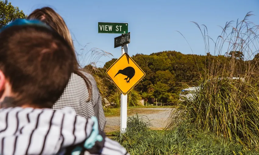 Stewart Island Fly and Explore, 8 Hours - Queenstown