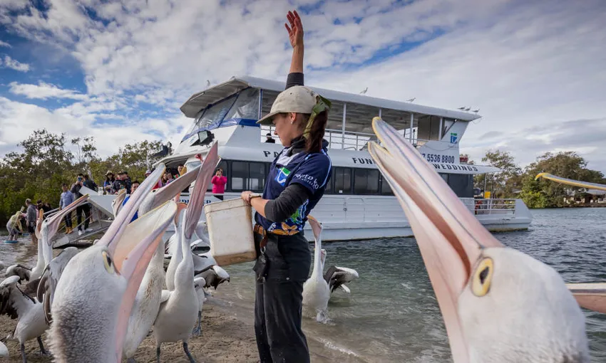 Tweed River Lunch Cruises - Book Now | Experience Oz