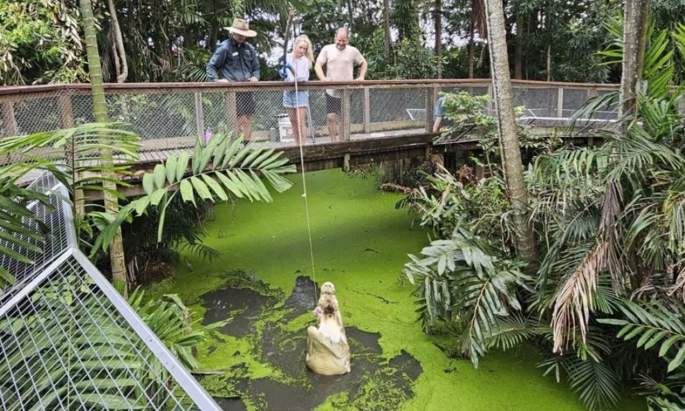 Wildlife Habitat Port Douglas Entry & Croc Feed Experience | Experience OZ-4