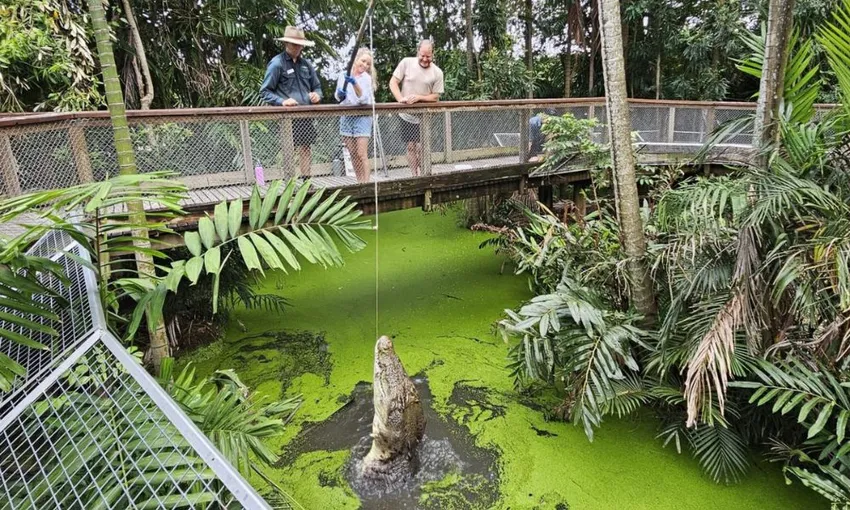 Wildlife Habitat Port Douglas Entry & Croc Feed Experience | Experience OZ