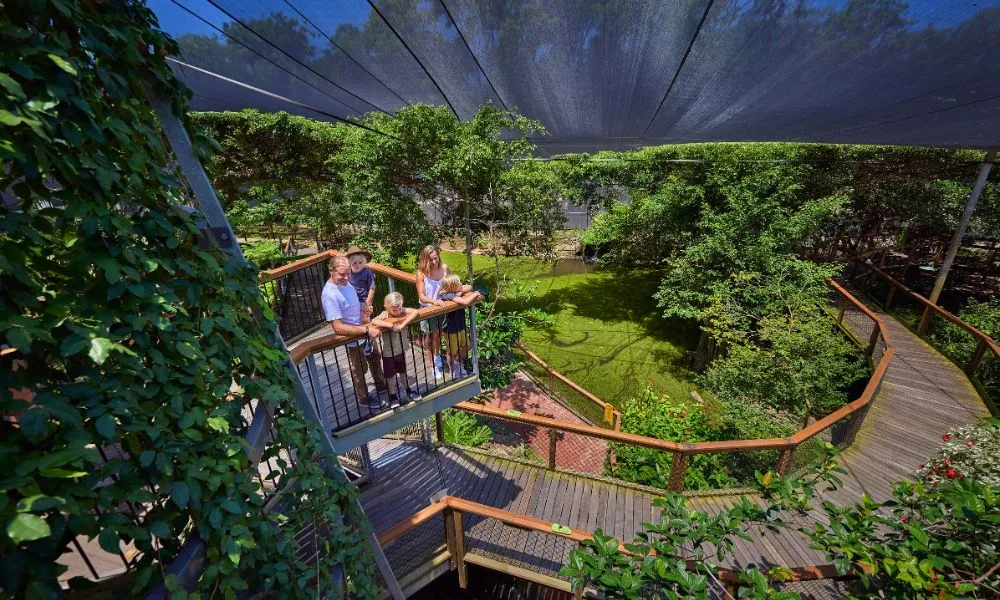 Wildlife Habitat Port Douglas Entry & Croc Feed Experience | Experience OZ-2