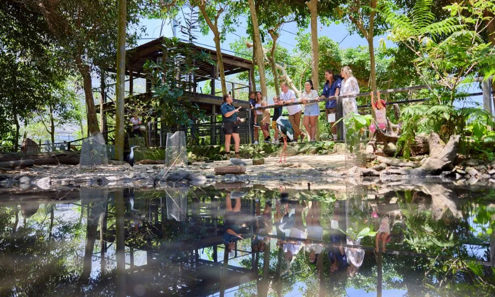 Wildlife Habitat Port Douglas Entry & Croc Feed Experience | Experience OZ-5