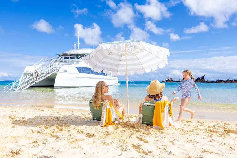 Dolphin Cruise with Tangalooma Wrecks Snorkel Tour - Moreton Island