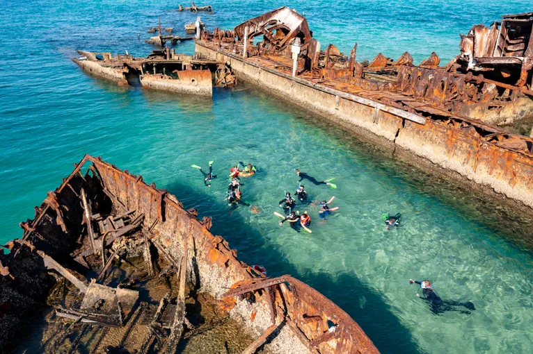 Dolphin Cruise with Tangalooma Wrecks Snorkel Tour - Moreton Island