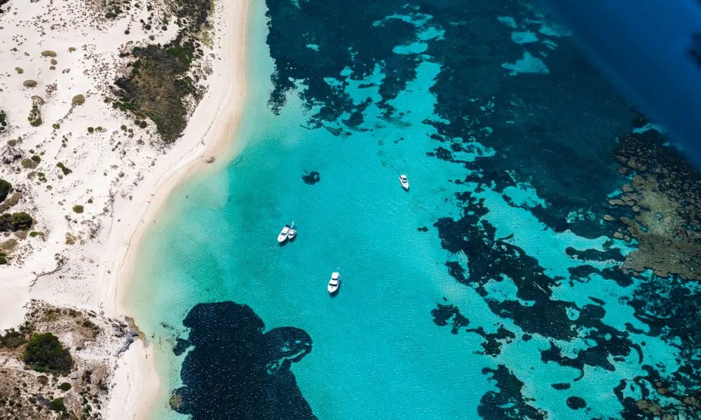 Return Scenic Flight from Swan River to Rottnest Island | Experience Oz-5