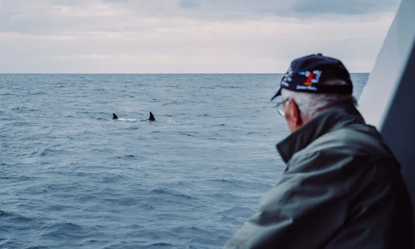 Killer Whale Orca Expedition from Bremer Bay