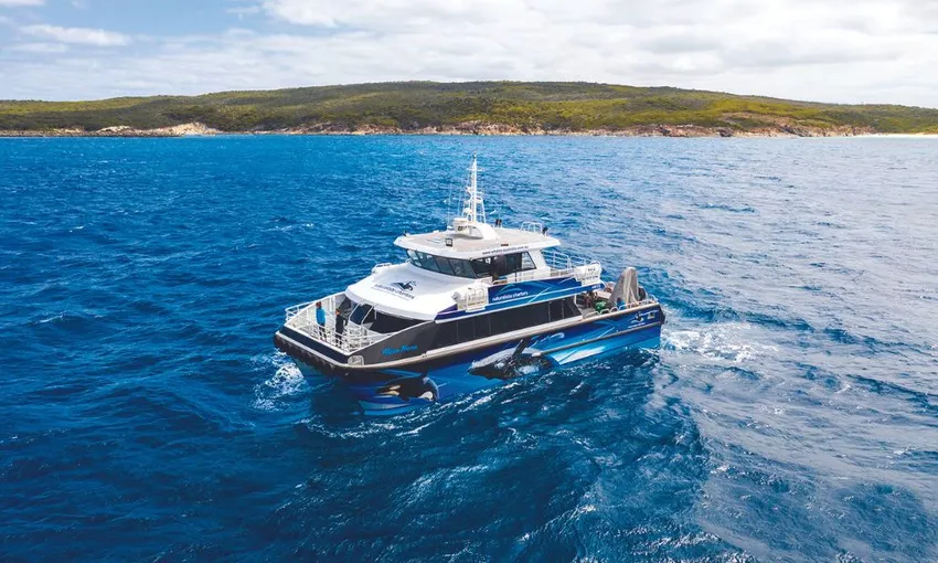 Killer Whale Orca Expedition from Bremer Bay