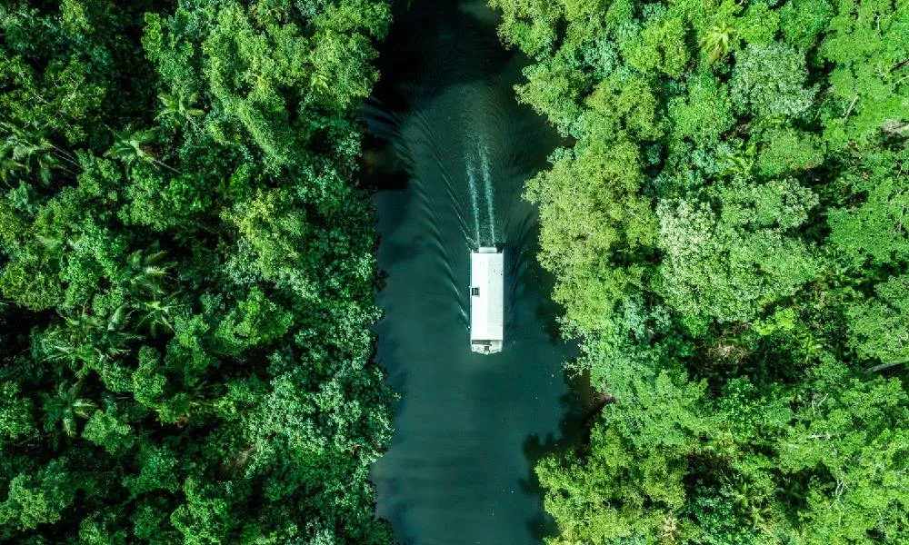 Daintree, Mossman Gorge & Wildlife Tour - Book Now | Experience Oz -4