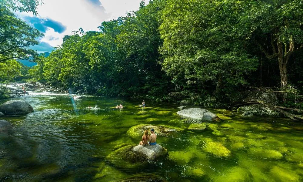 Daintree, Mossman Gorge & Wildlife Tour - Book Now | Experience Oz -1