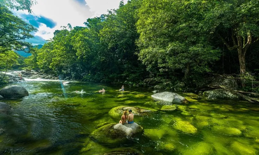 Daintree, Mossman Gorge & Wildlife Tour - Book Now | Experience Oz