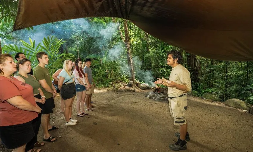 Daintree, Mossman Gorge & Wildlife Tour - Book Now | Experience Oz