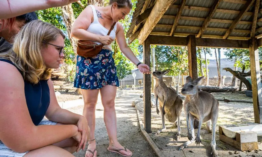 Daintree, Mossman Gorge & Wildlife Tour - Book Now | Experience Oz 