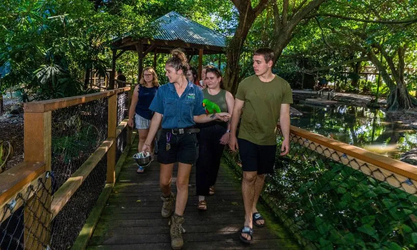 Daintree, Mossman Gorge & Wildlife Tour - Book Now | Experience Oz