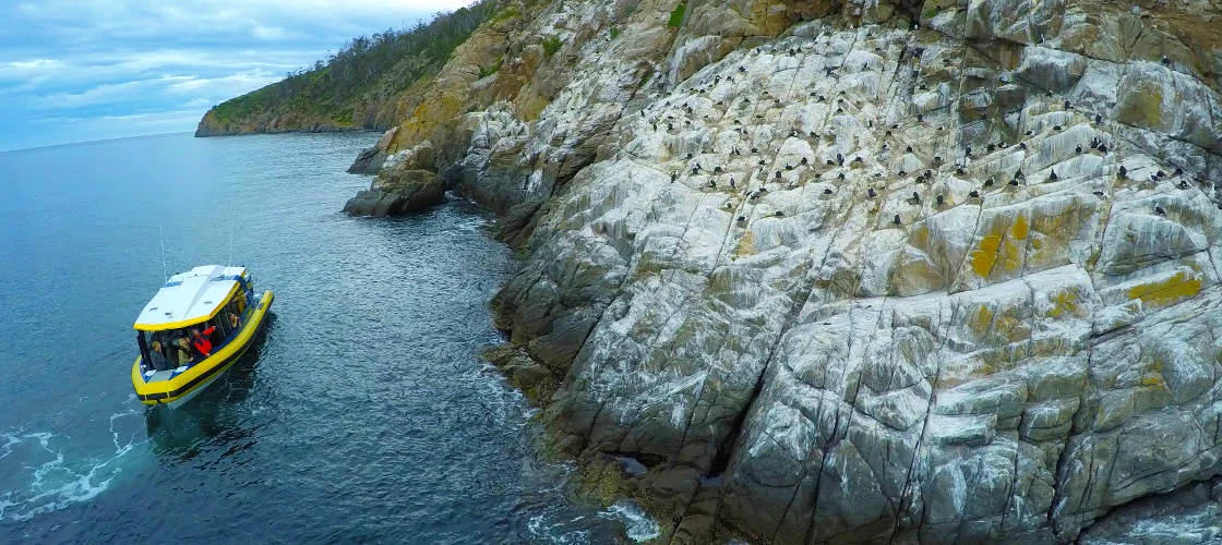 Iron Pot Scenic Cruise From Hobart - Book Now | Experience Oz-3