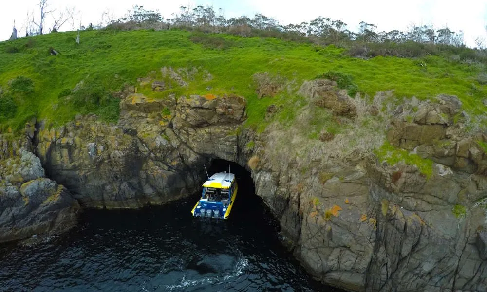 Iron Pot Scenic Cruise From Hobart - Book Now | Experience Oz-5