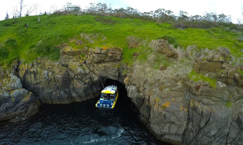Iron Pot and Betsey Island Scenic Cruise From Hobart, 2.5 Hours