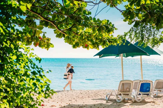 EXCLUSIVE FREE UPGRADE - Great Barrier Reef & Green Island Day Tour