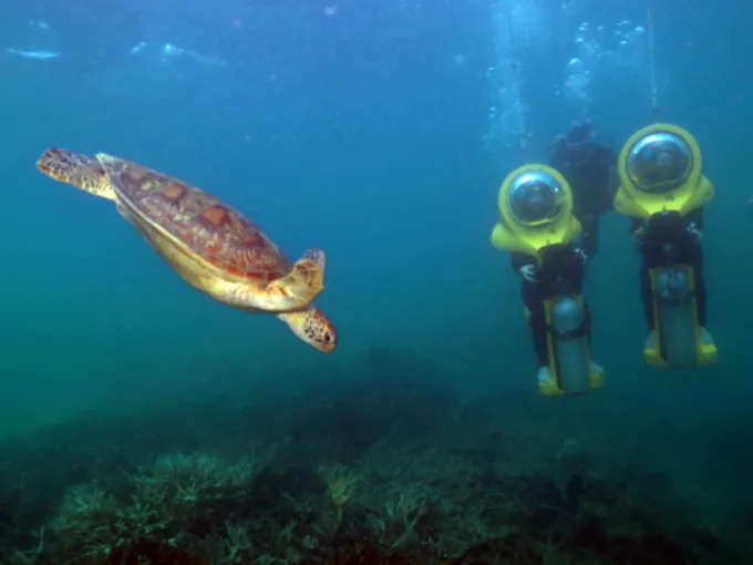Green Island & Great Barrier Reef Tour Combo 1 Day | Experience Oz