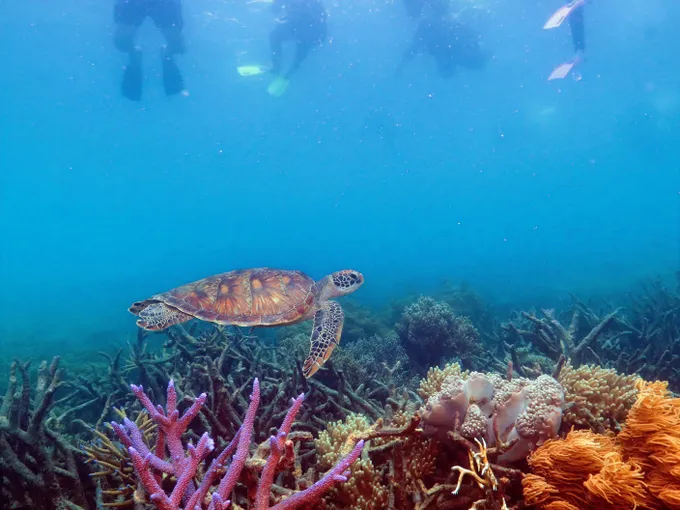 Green Island & Great Barrier Reef Tour Combo 1 Day | Experience Oz