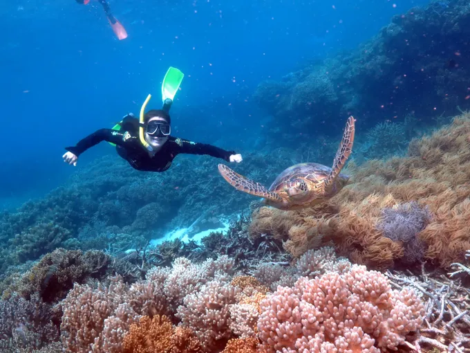 Green Island & Great Barrier Reef Tour Combo 1 Day | Experience Oz