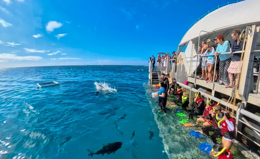 Green Island & Great Barrier Reef Tour Combo 1 Day | Experience Oz