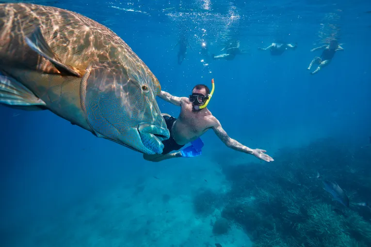 Green Island & Great Barrier Reef Tour Combo 1 Day | Experience Oz