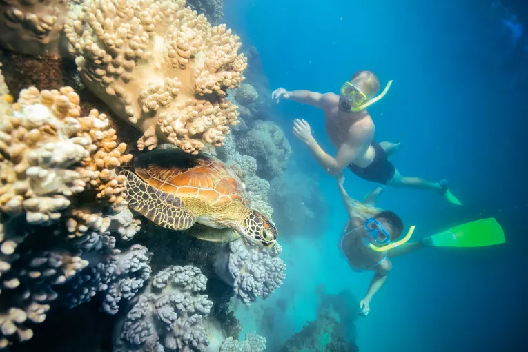 Green Island & Great Barrier Reef Tour Combo 1 Day | Experience Oz