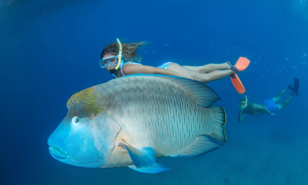 Green Island & Great Barrier Reef Tour Combo 1 Day | Experience Oz-18