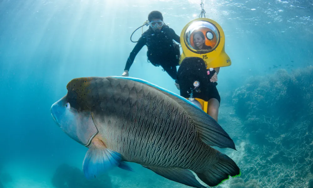 Green Island & Great Barrier Reef Tour Combo 1 Day | Experience Oz-19