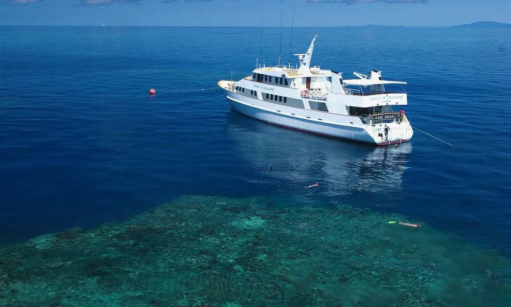  Spirit of Freedom – 7-Day Cod Hole and Coral Sea Expedition | Experience Oz-1