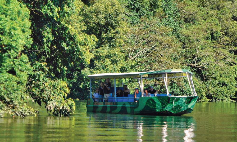 Crocodile Express Daintree River Cruise, 1 Hour - Daintree Gateway