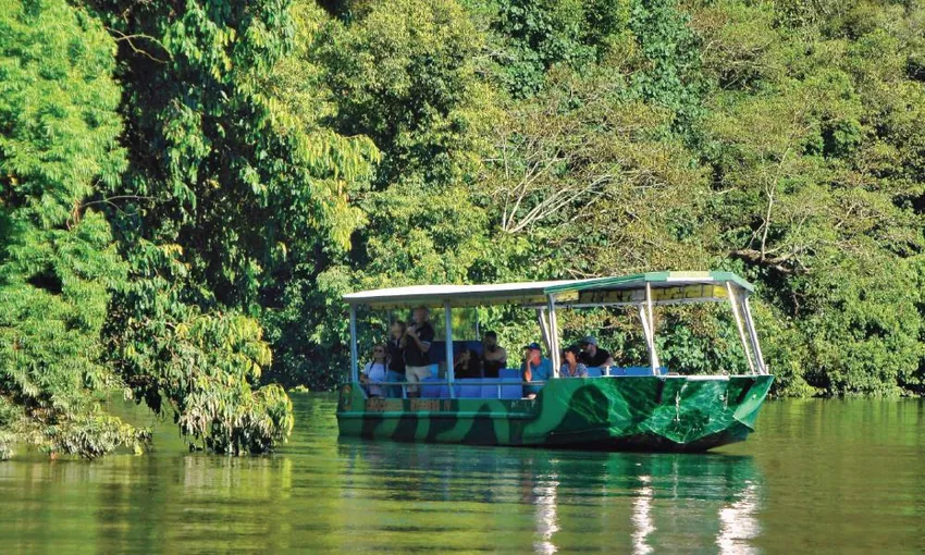 Crocodile Express Daintree River Cruise, 1 Hour - Daintree Gateway
