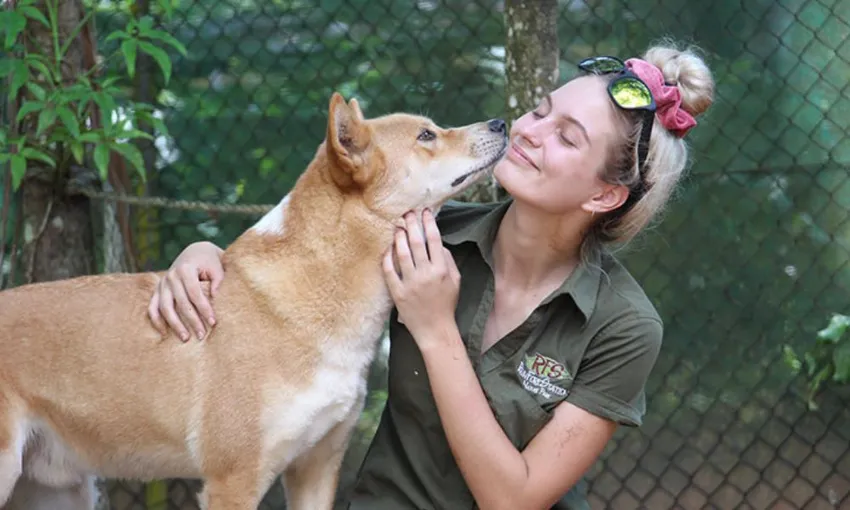 Koala and Wildlife Park Entry - Kuranda