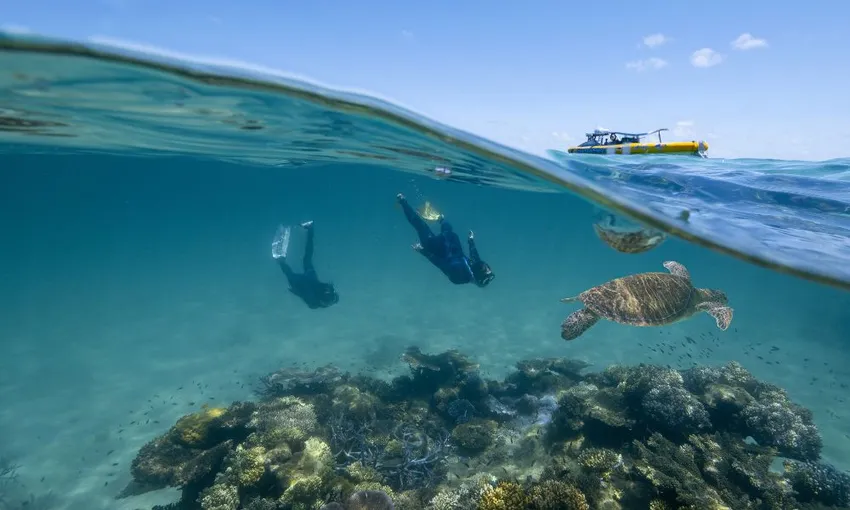 Great Barrier Reef Adventure from Cape Tribulation